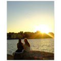 31282bb3-acce-4b0b-9d30-b3009267b727