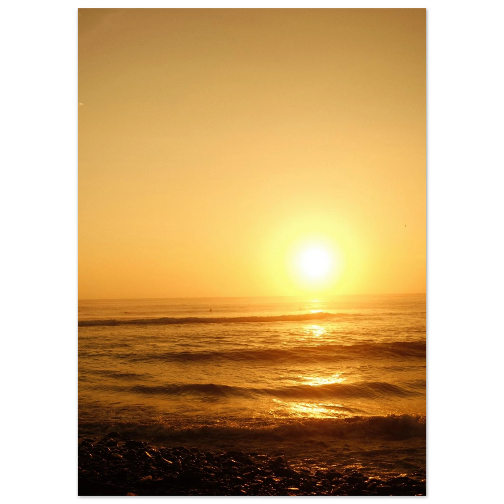 5a8f9a6a-703b-4af5-a96a-9c6adb935575