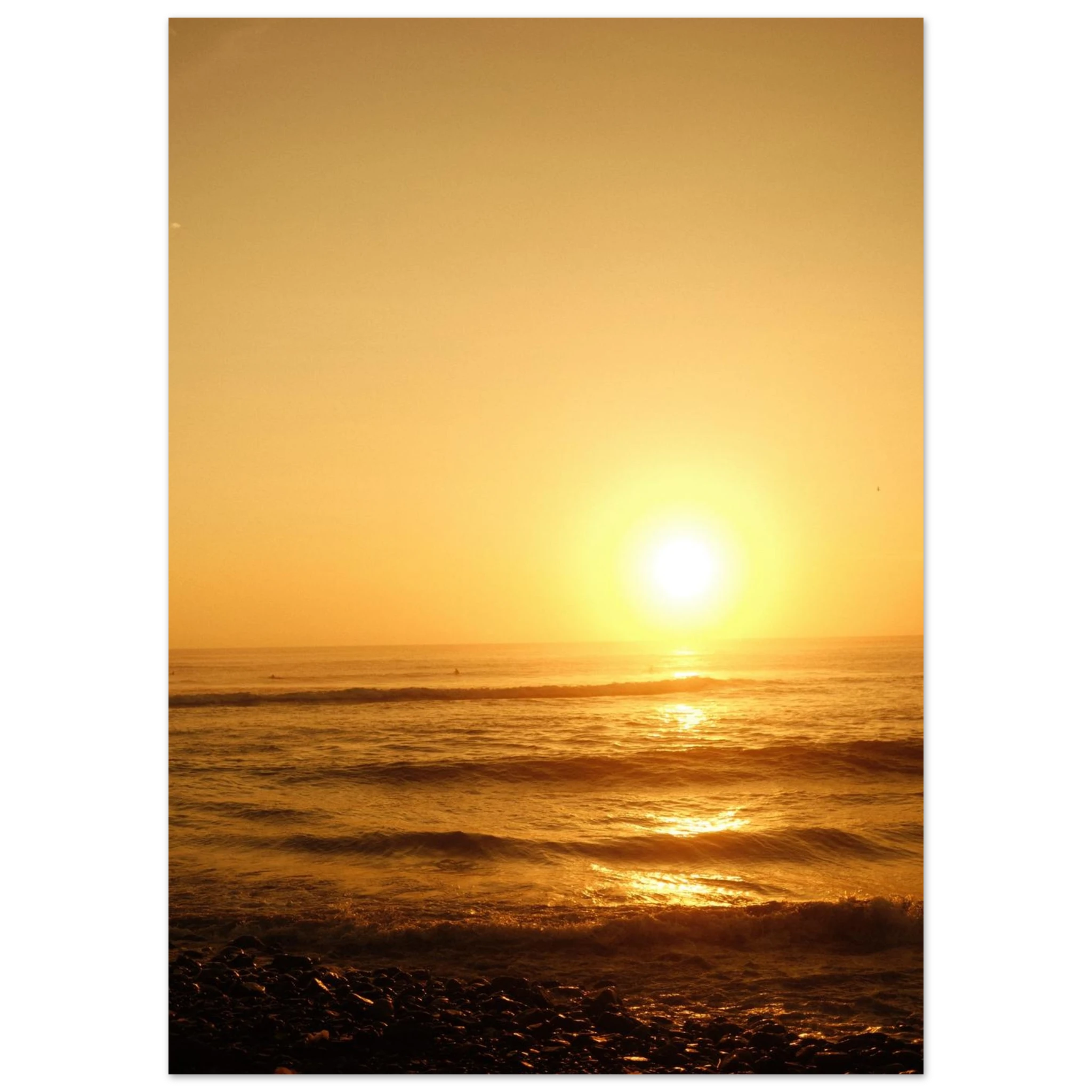 5a8f9a6a-703b-4af5-a96a-9c6adb935575