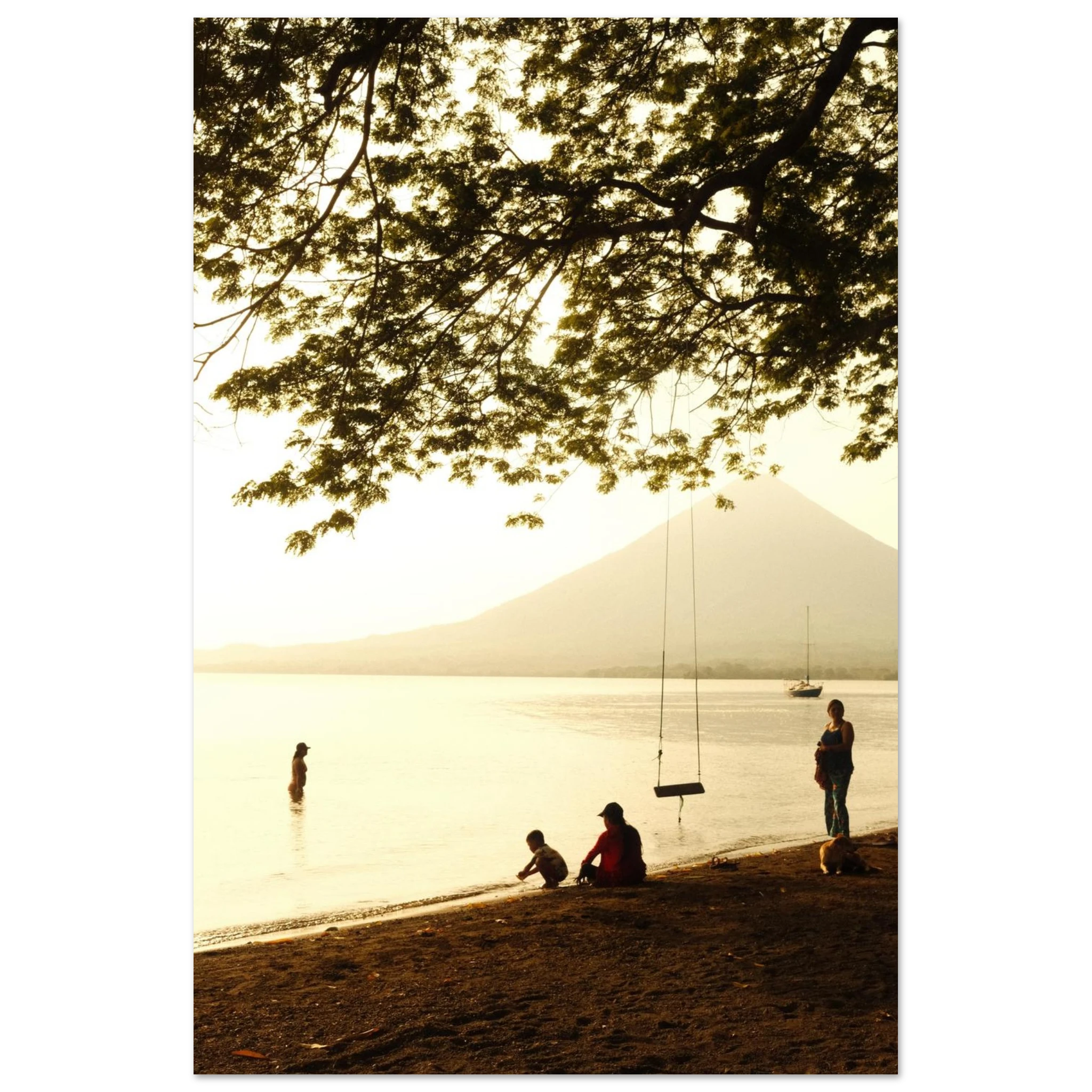 6d701889-904b-4a6e-a553-813a02db9352