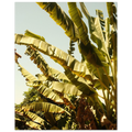 b0303590-e697-4f6c-82b3-cbbb08913342