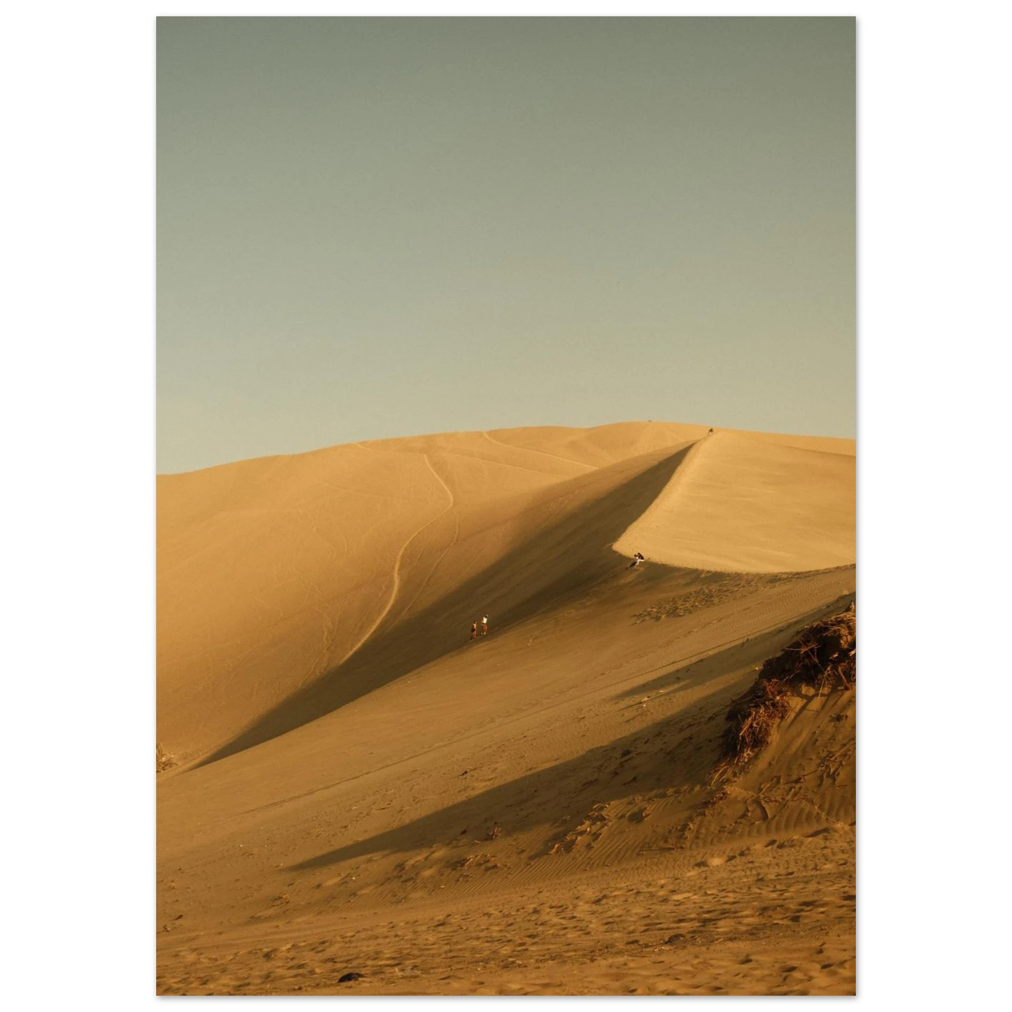 bf2aab52-2e9a-452f-80b0-a343364d4778