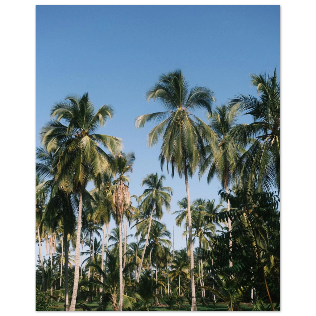 cf409494-b374-45d3-a4b3-2c2d9bd291ac