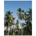 cf409494-b374-45d3-a4b3-2c2d9bd291ac