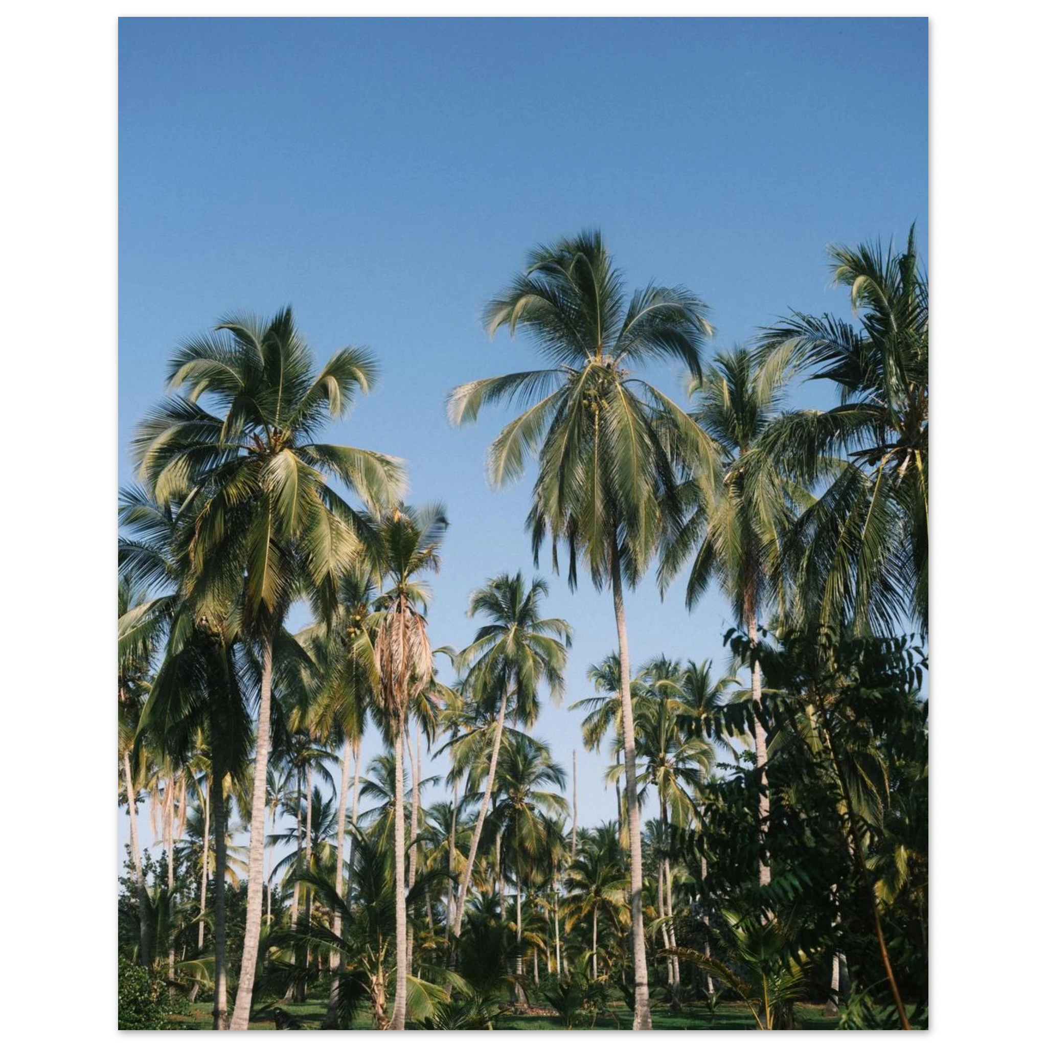 cf409494-b374-45d3-a4b3-2c2d9bd291ac